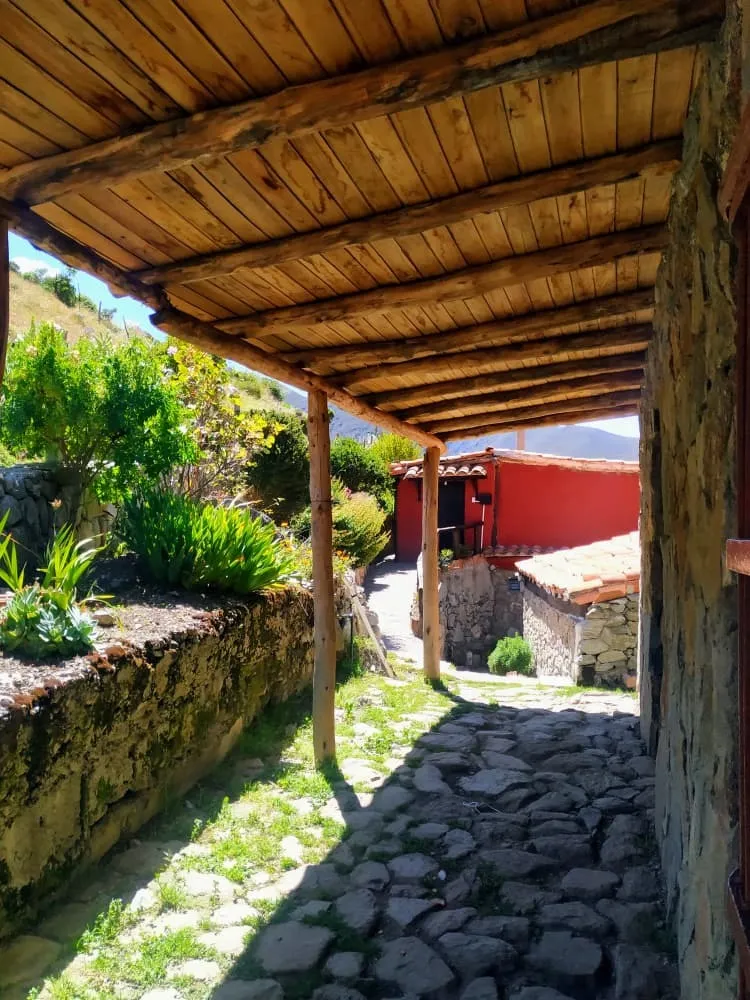Pergola walkway to the garden